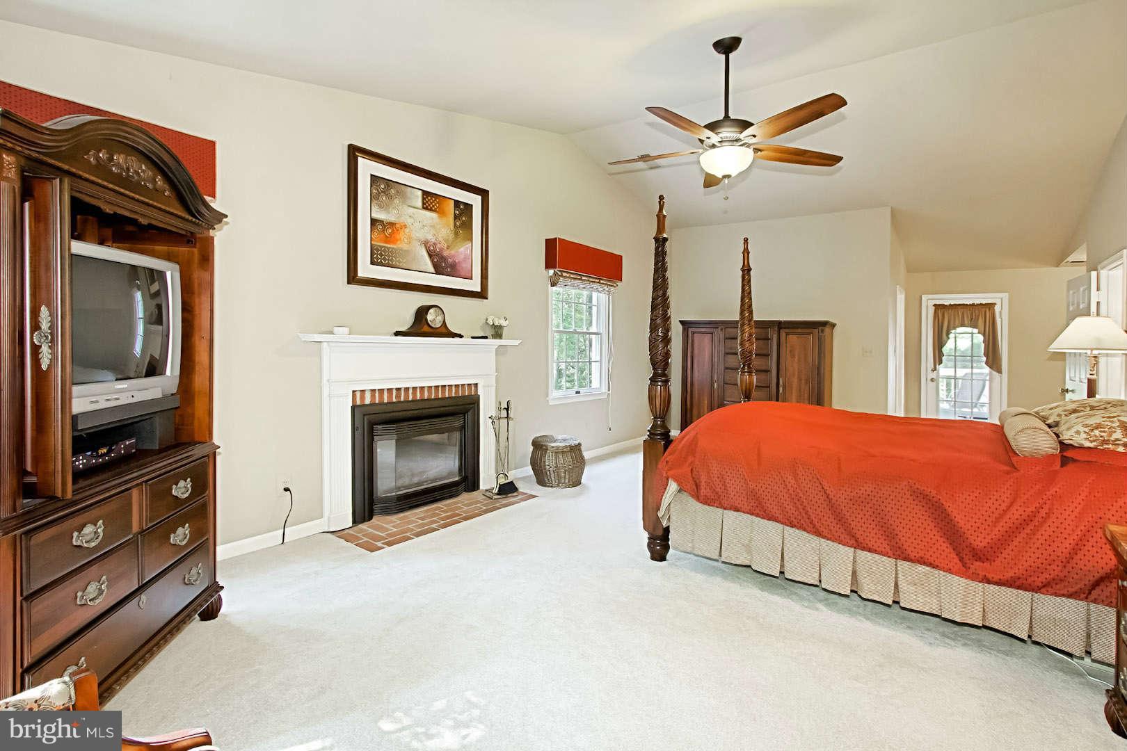 12101 Chapel Road Clifton, VA 20124 - Photo 13 of 29 Bedroom Master with Gas Fireplace