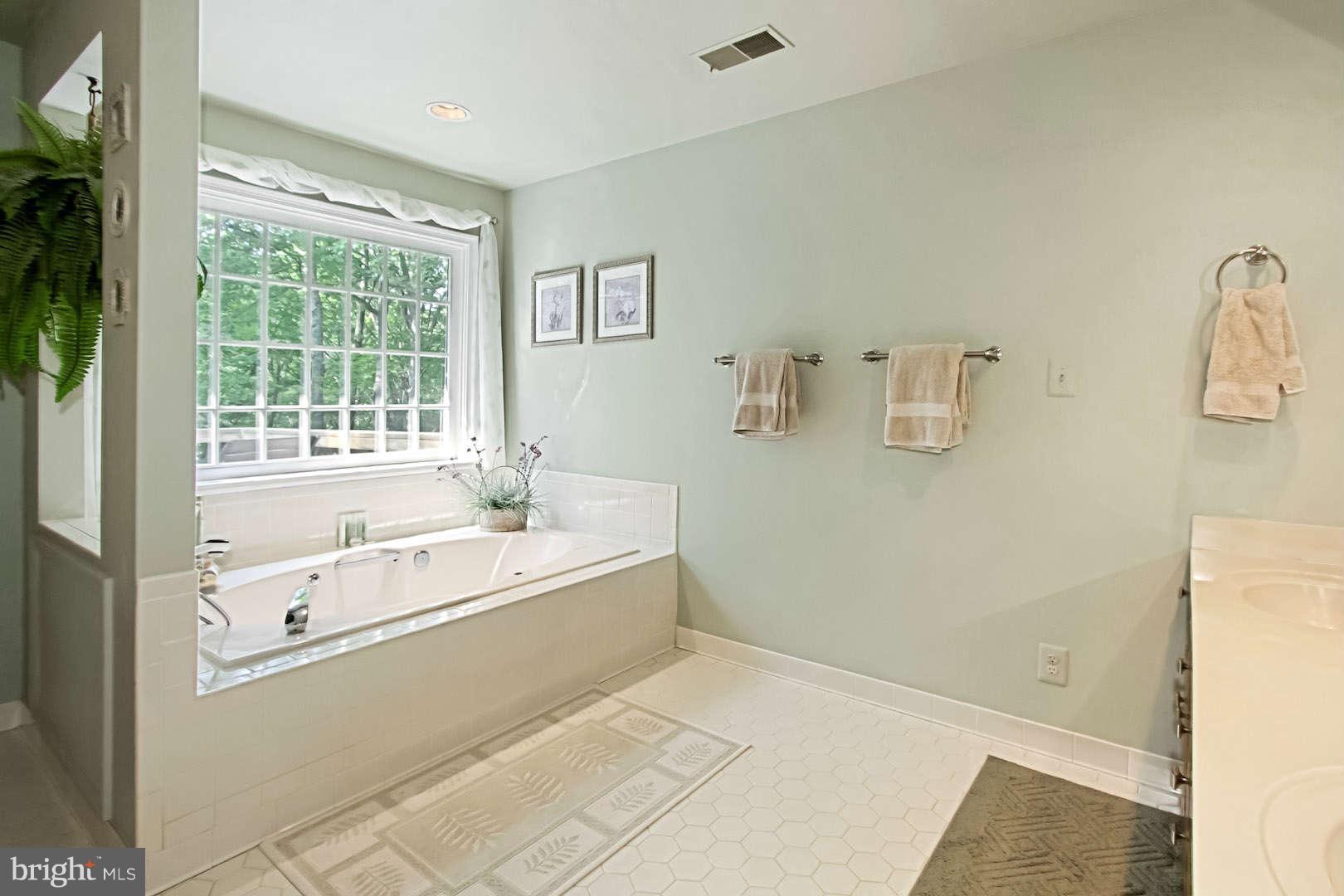 12101 Chapel Road Clifton, VA 20124 - Photo 15 of 29 Master Bath with Jetted Tub and Dual Sinks