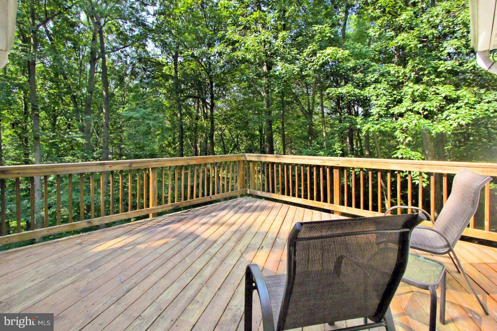 12101 Chapel Road Clifton, VA 20124 - Photo 16 of 29 Private Sundeck for Master Bedroom