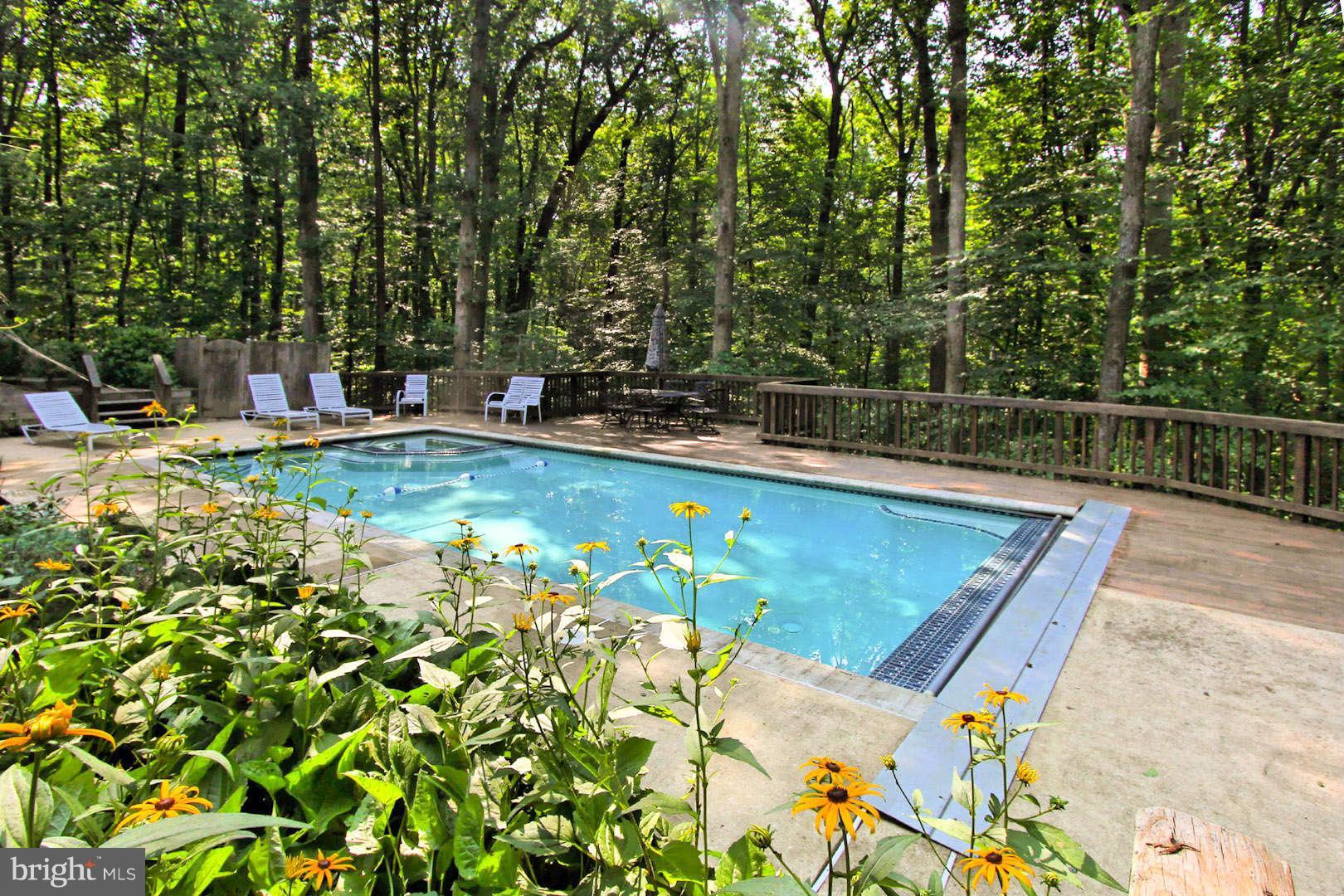 12101 Chapel Road Clifton, VA 20124 - Photo 26 of 29 Sparkling Pool with Electric Cover