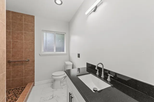 a bathroom with a sink a toilet and a mirror