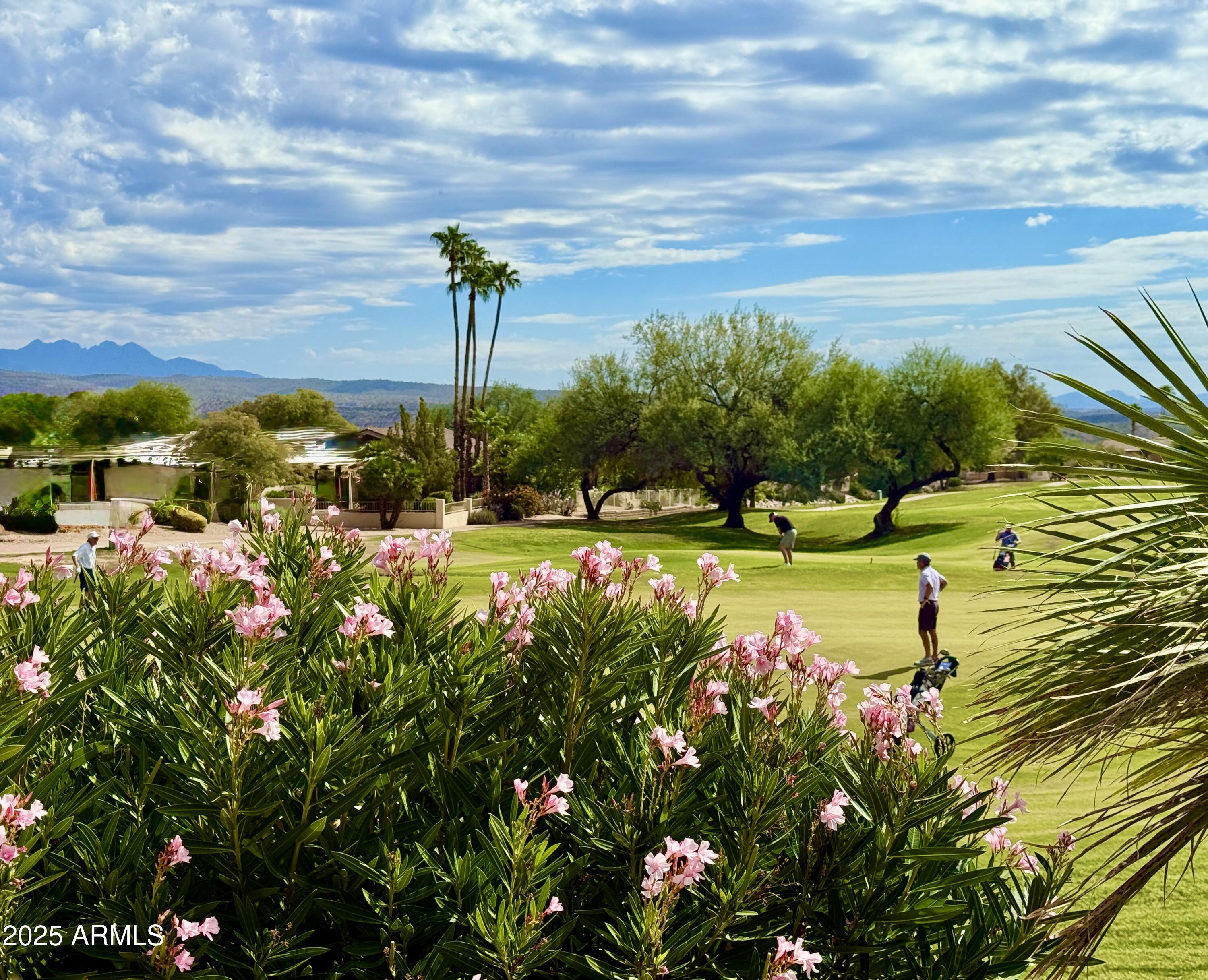 25615 North Bolero Bend, Unit 5 Rio Verde, AZ 85263 - Photo 15 of 65 a view of a garden with lawn chairs