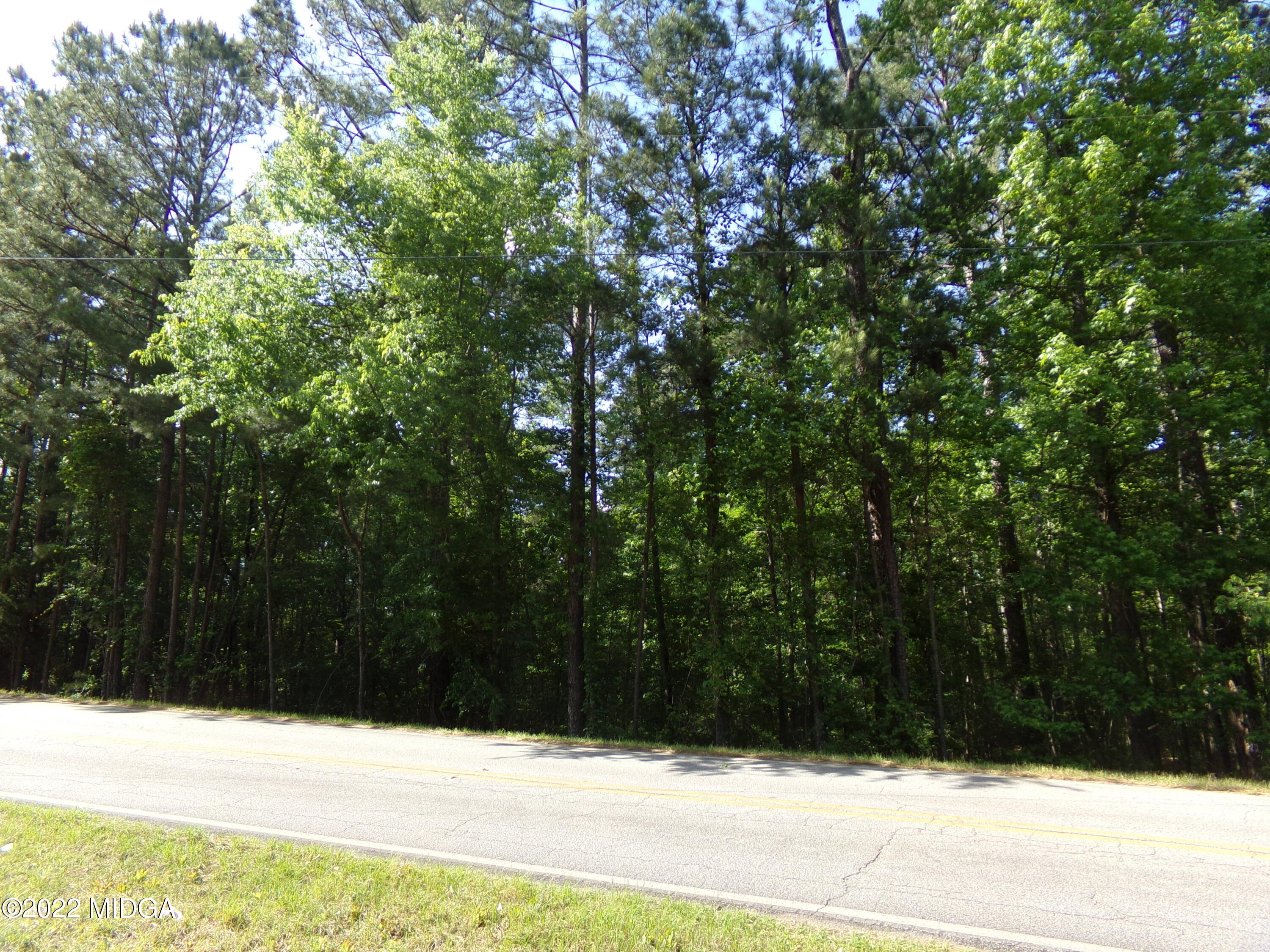 0 Pea Ridge Road Juliette, GA 31046 - Photo 12 of 14 13