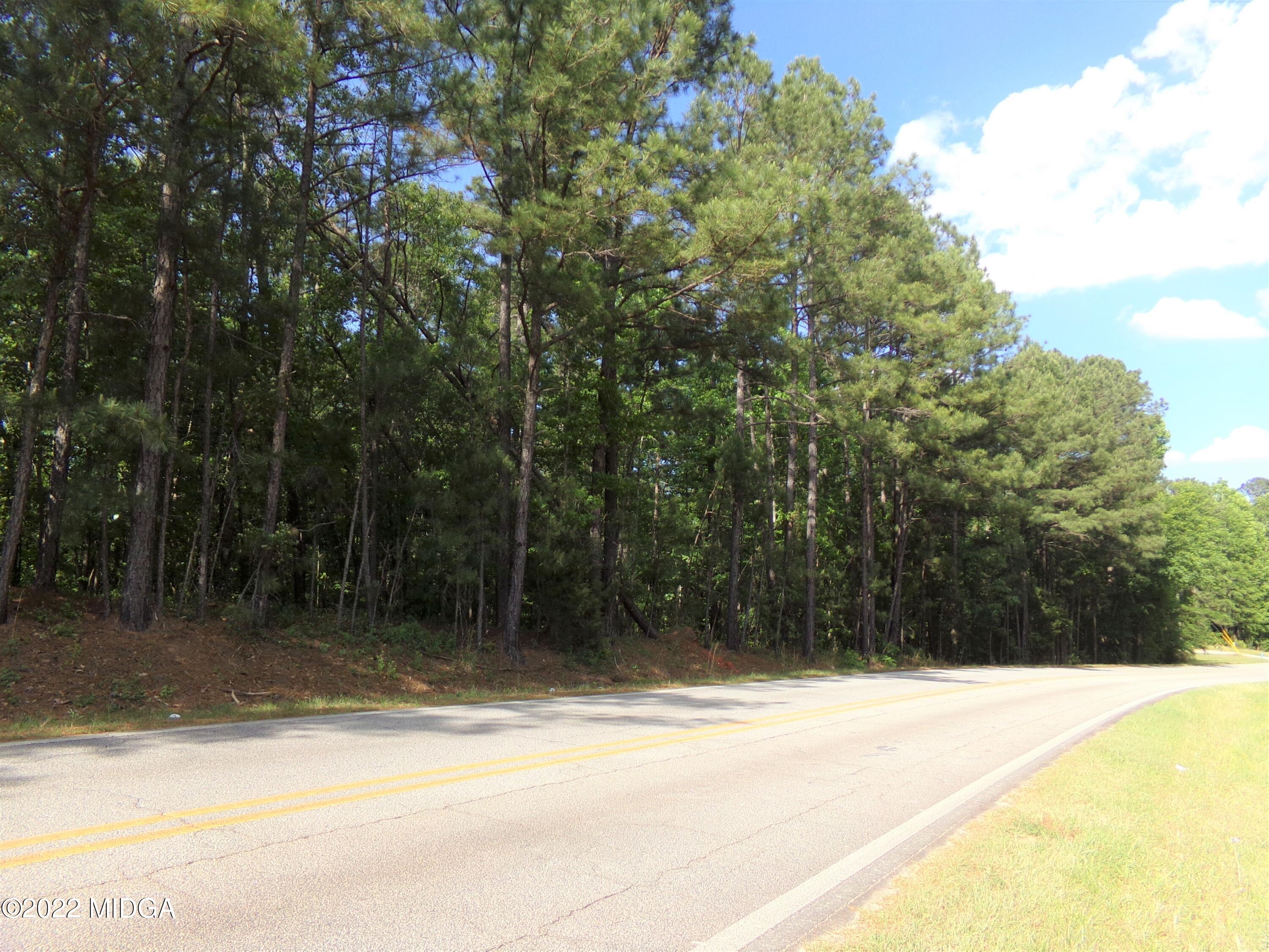 0 Pea Ridge Road Juliette, GA 31046 - Photo 14 of 14 15