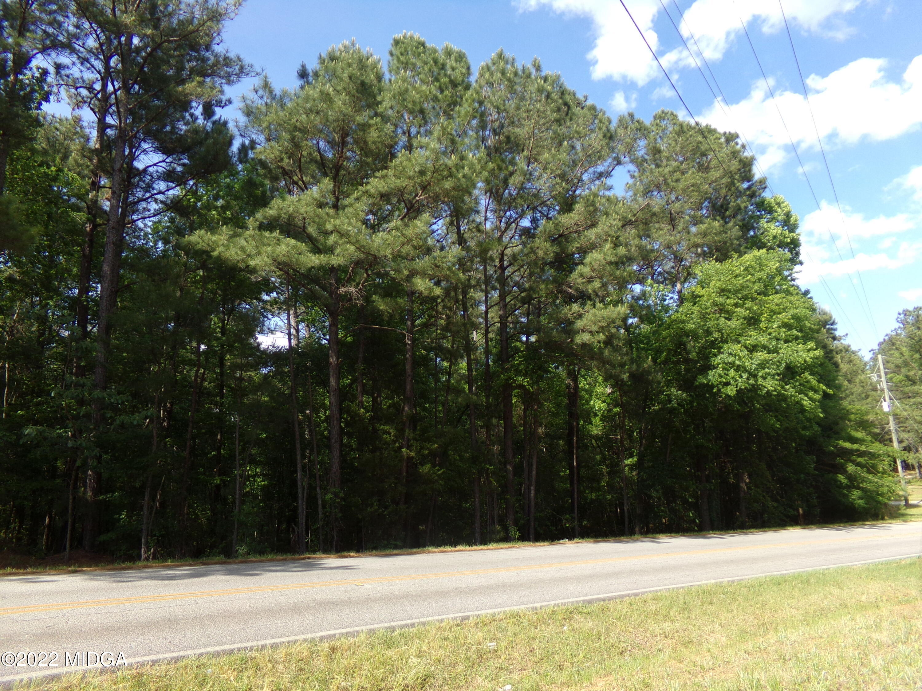 0 Pea Ridge Road Juliette, GA 31046 - Photo 2 of 14 2