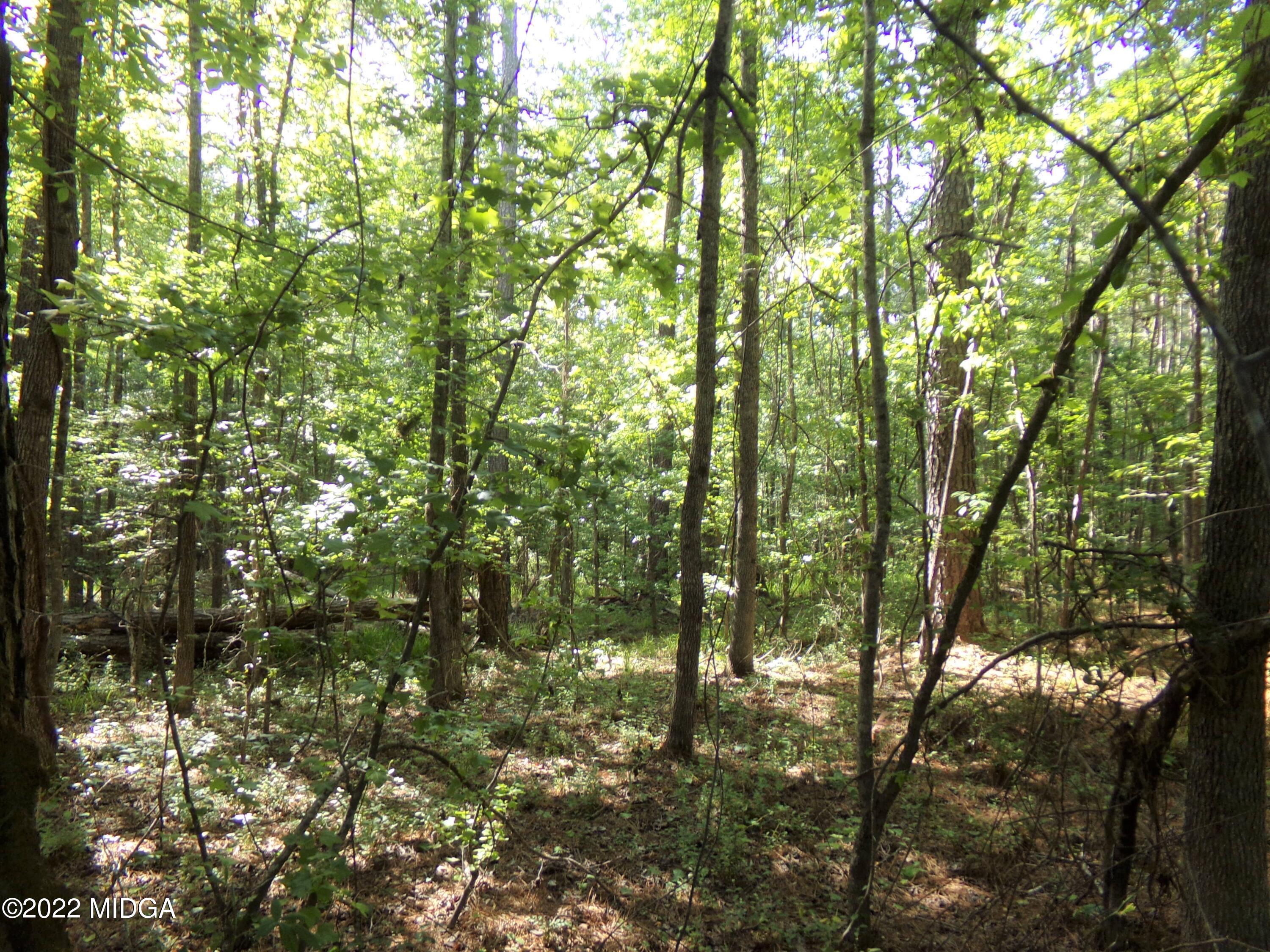 0 Pea Ridge Road Juliette, GA 31046 - Photo 5 of 14 5