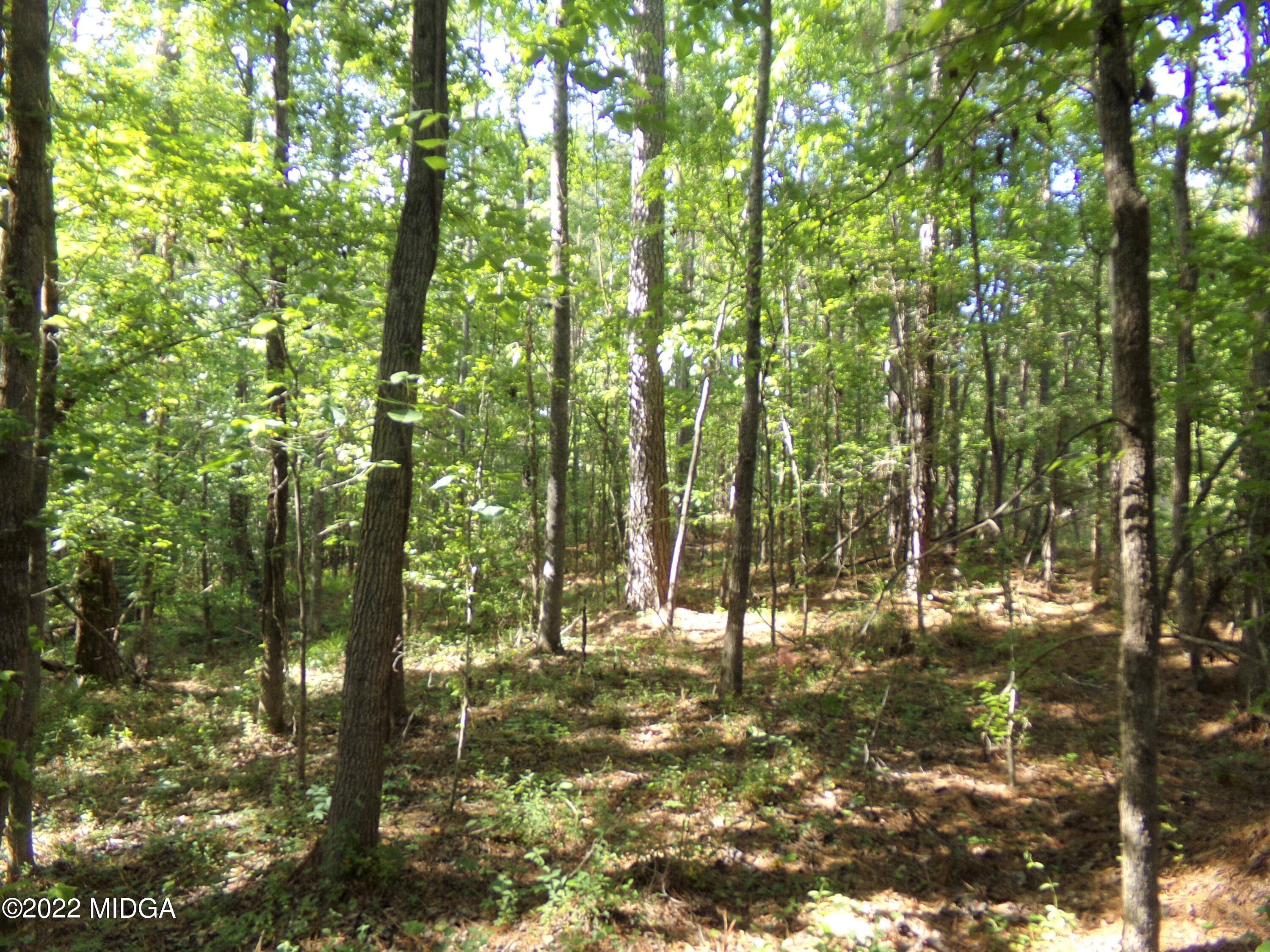 0 Pea Ridge Road Juliette, GA 31046 - Photo 6 of 14 6