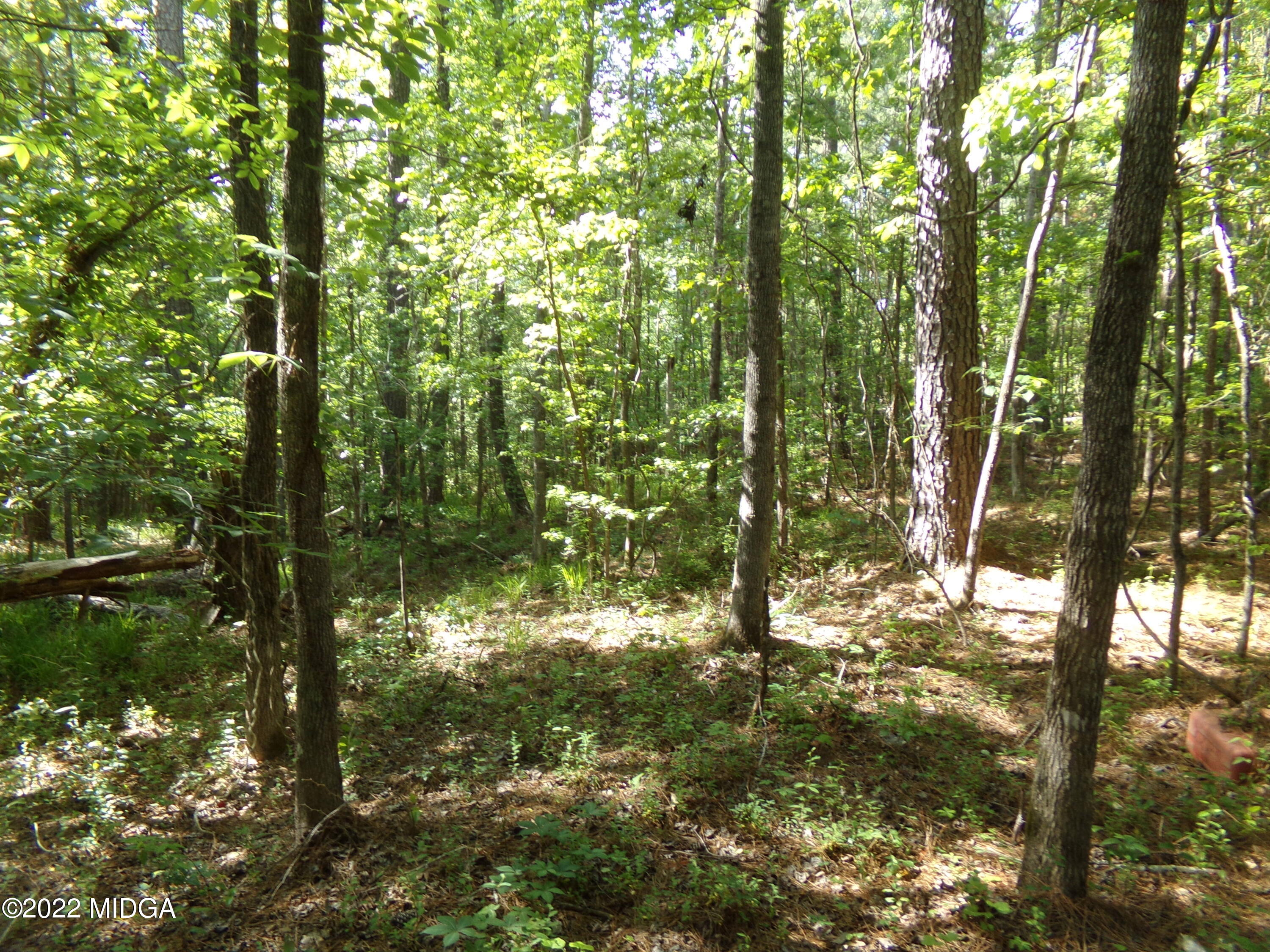 0 Pea Ridge Road Juliette, GA 31046 - Photo 7 of 14 7