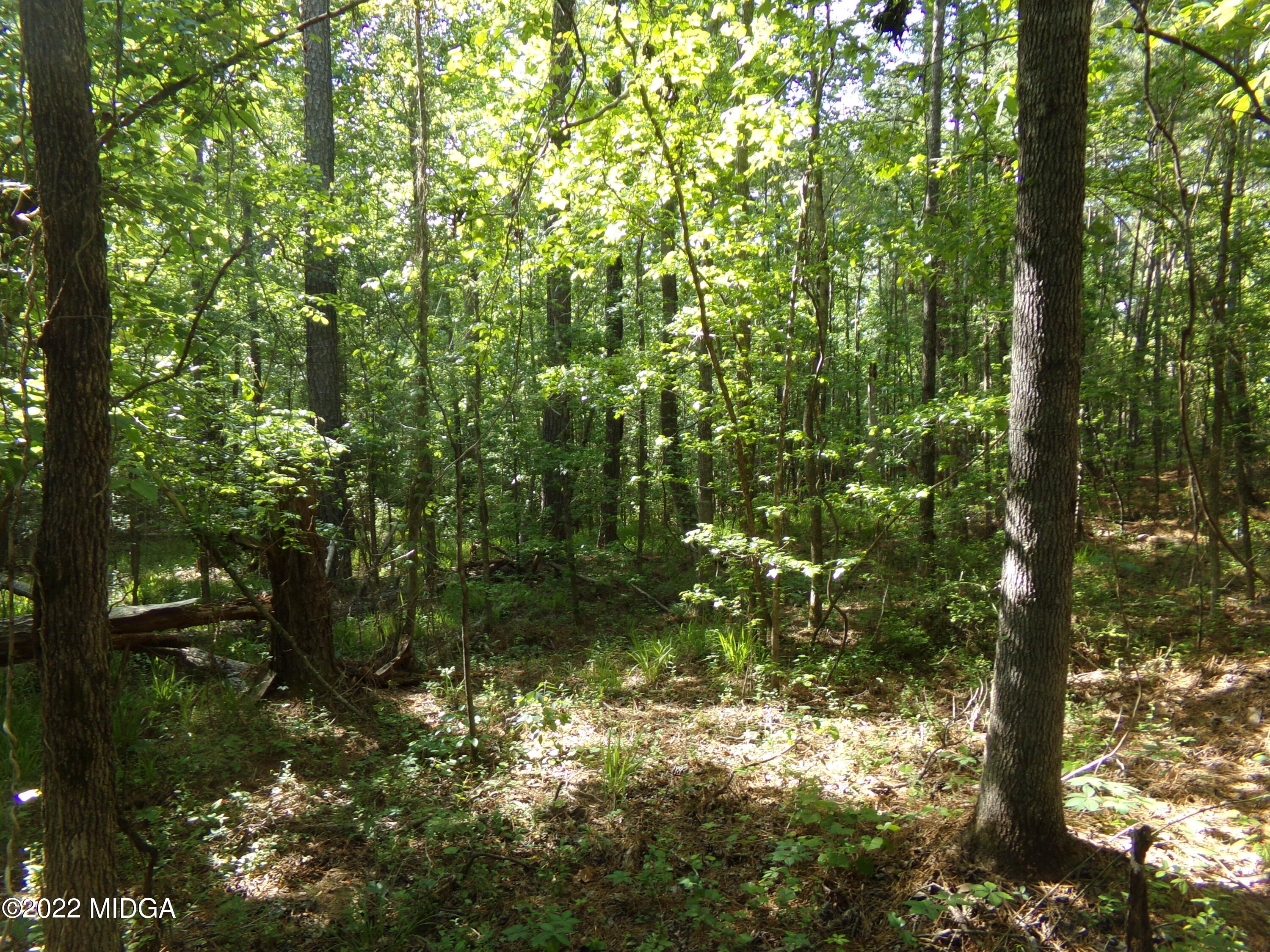 0 Pea Ridge Road Juliette, GA 31046 - Photo 9 of 14 9