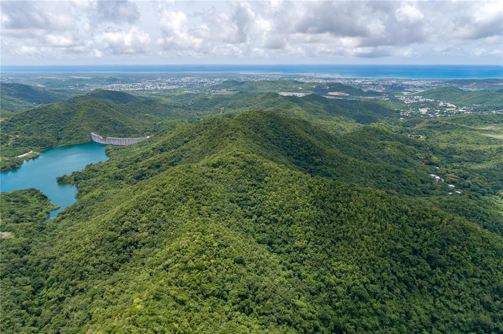 a view of a green field with lots of bushes