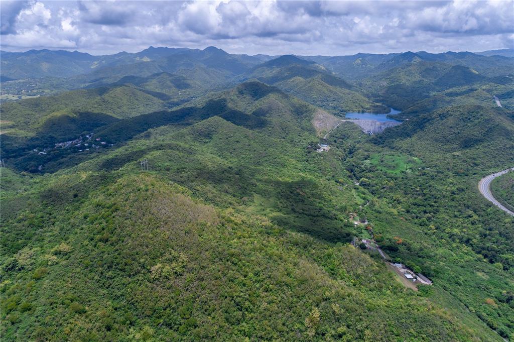 503 Carr Ponce, PR 00715 - Photo 3 of 8 an aerial view of residential houses with outdoor and green space