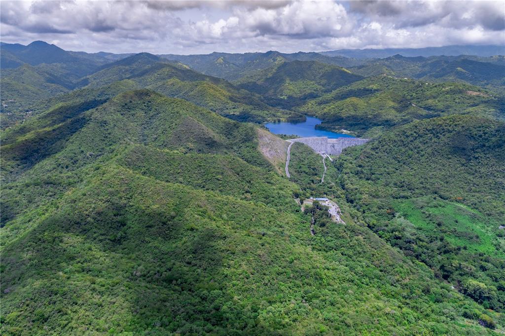 503 Carr Ponce, PR 00715 - Photo 4 of 8