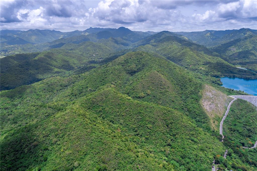 503 Carr Ponce, PR 00715 - Photo 5 of 8 a view of a lush green forest with a mountain