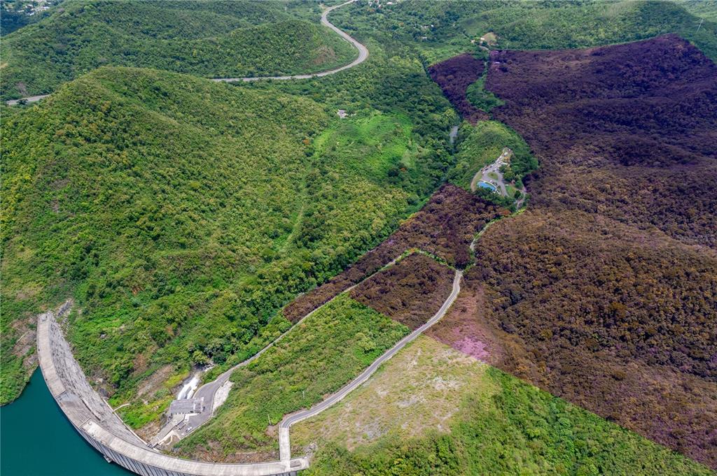 503 Carr Ponce, PR 00715 - Photo 8 of 8 a view of a backyard with plants