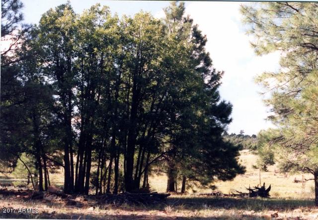 2138 Urias Road, Unit 4B Clay Springs, AZ 85923 - Photo 1 of 3 AZ land pics001 (640x442)