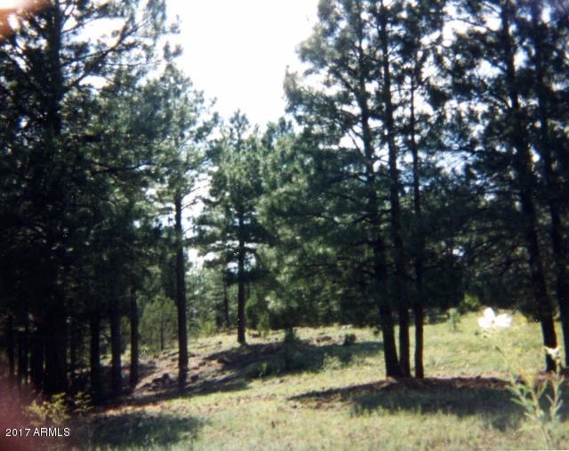 2138 Urias Road, Unit 4B Clay Springs, AZ 85923 - Photo 2 of 3 AZ land pics002 (640x508)