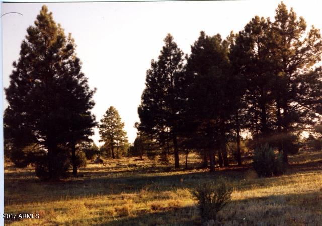 2138 Urias Road, Unit 4B Clay Springs, AZ 85923 - Photo 3 of 3 AZ land pics003 (640x451)