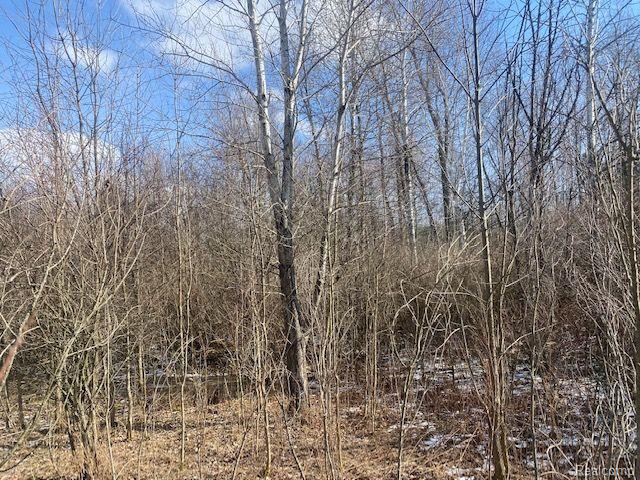V/l Hess Road Millington, MI 48746 - Photo 1 of 4