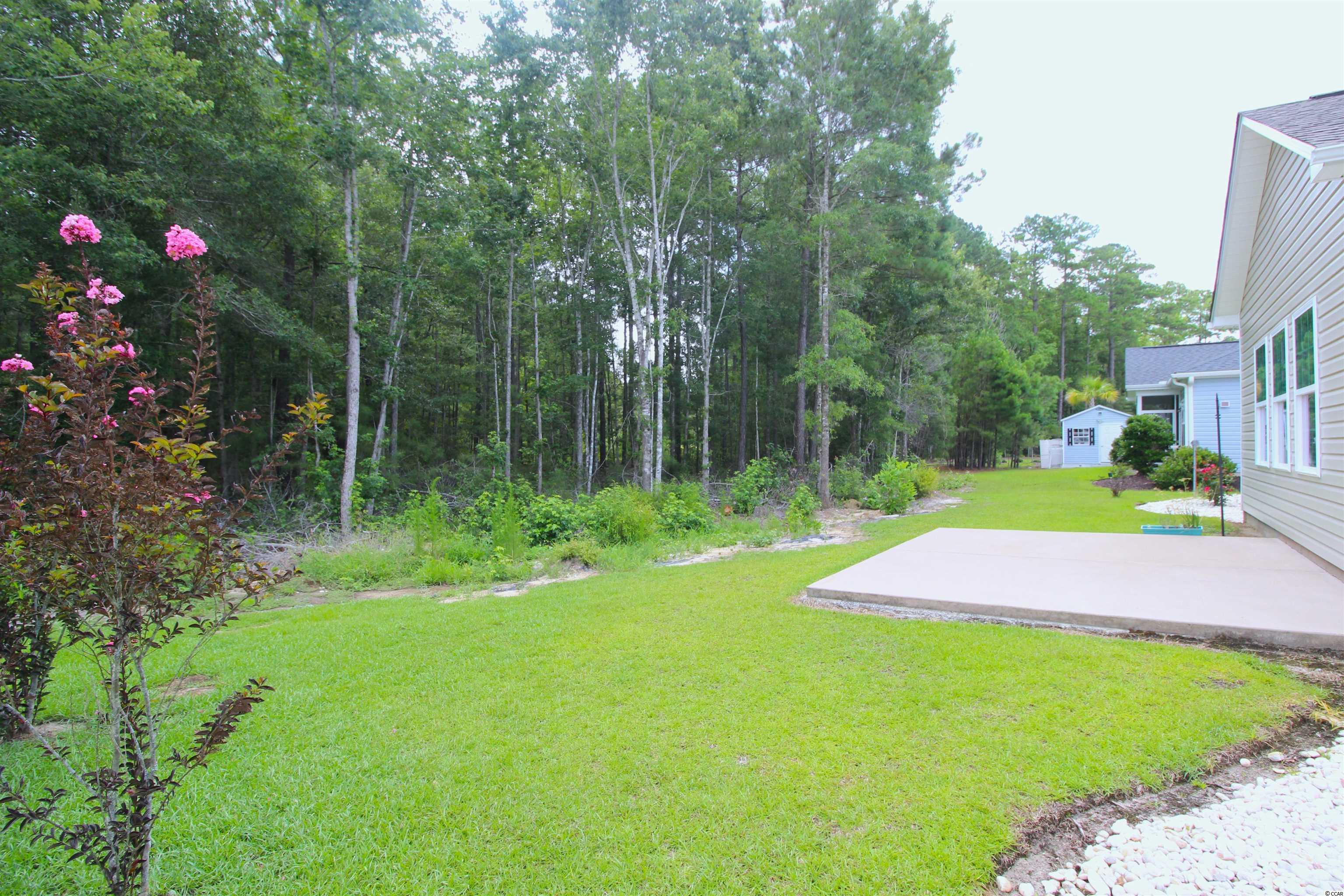 417 Carrick Loop Longs, SC 29568 - Photo 36 of 40 Gallery Image 36