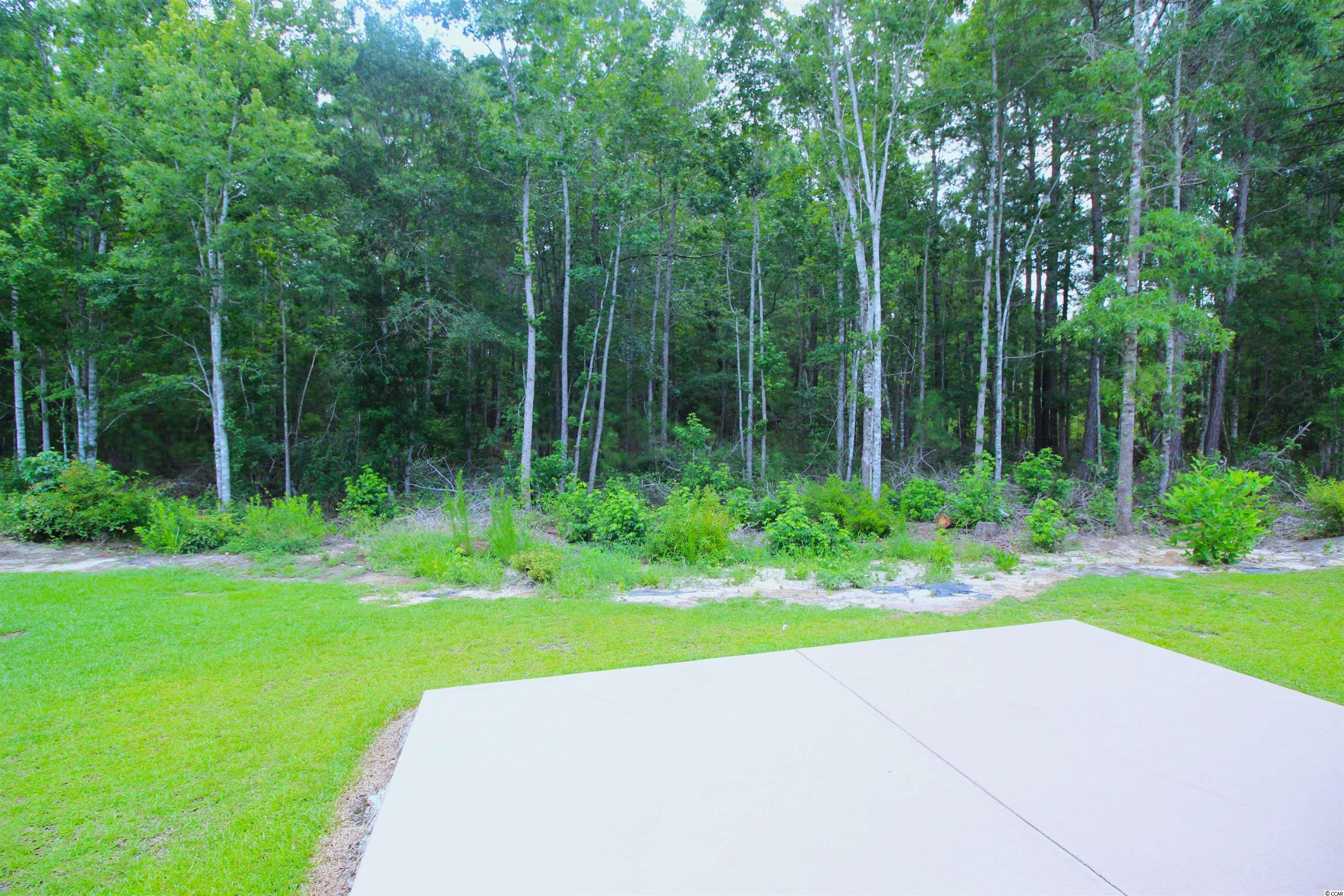 417 Carrick Loop Longs, SC 29568 - Photo 38 of 40 Gallery Image 38