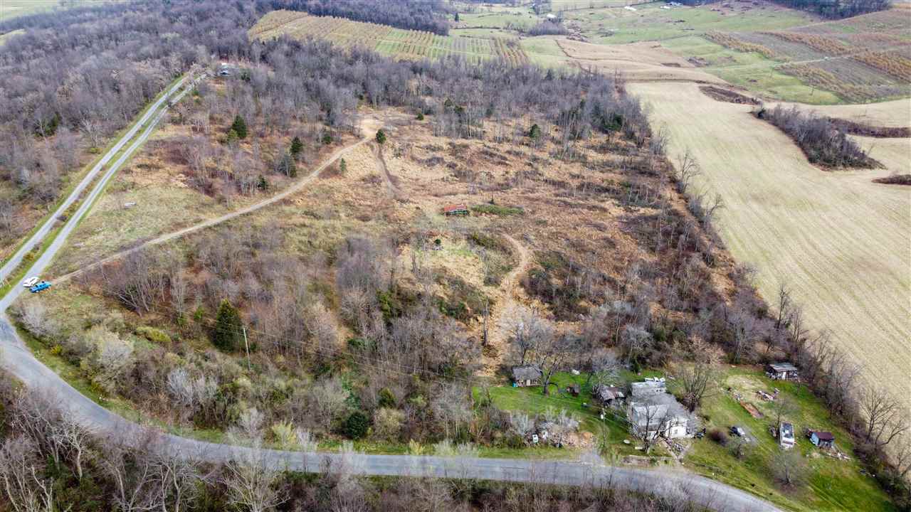 Tbd Winestore Road Timberville, VA 22853 - Photo 11 of 11 a view of a yard with plants