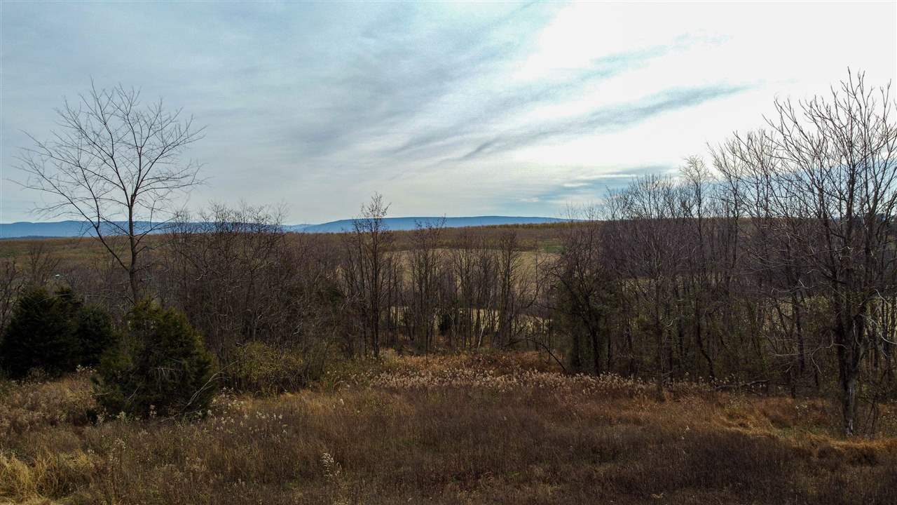 Tbd Winestore Road Timberville, VA 22853 - Photo 2 of 11 a view of a forest