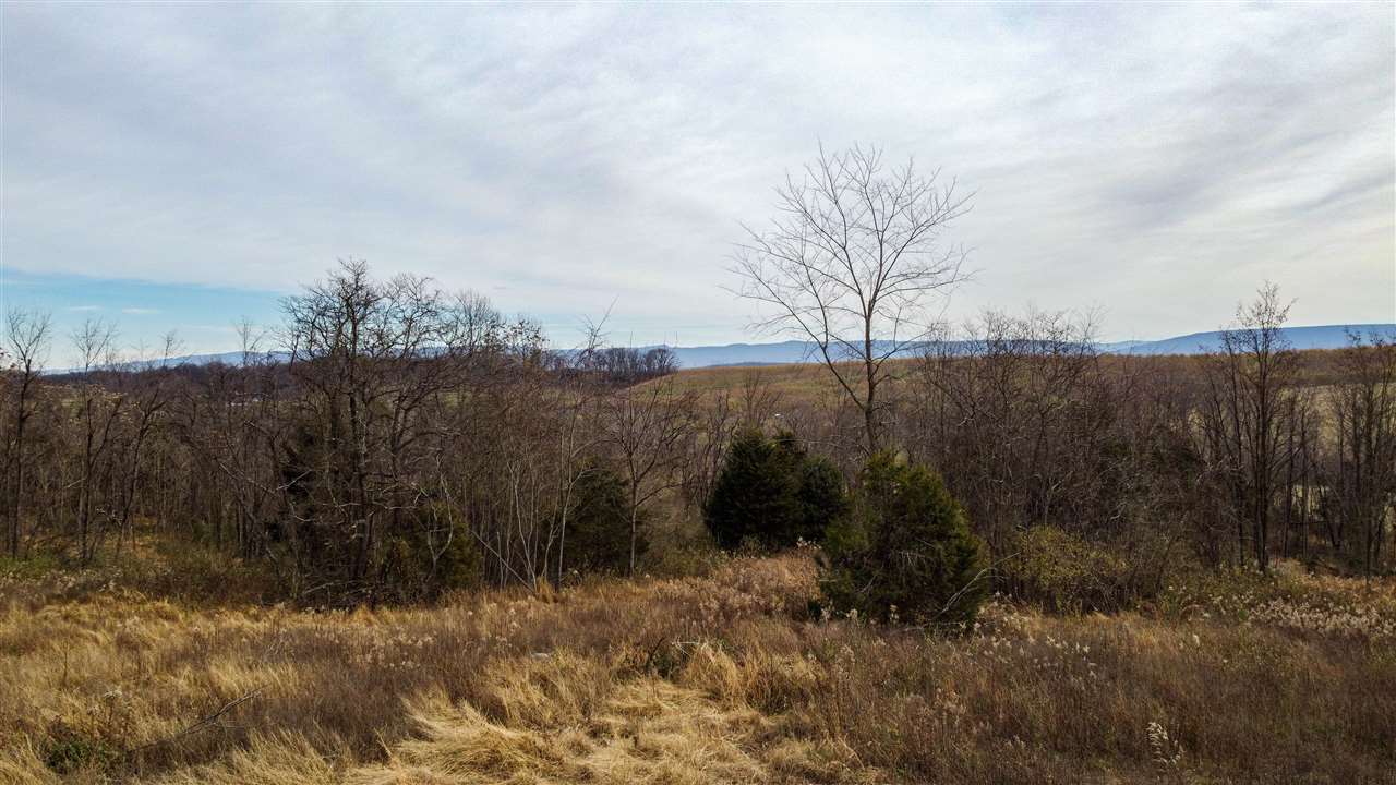 Tbd Winestore Road Timberville, VA 22853 - Photo 3 of 11 a view of mountain with lake view