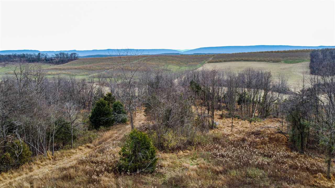 Tbd Winestore Road Timberville, VA 22853 - Photo 4 of 11 a view of mountain with lake view