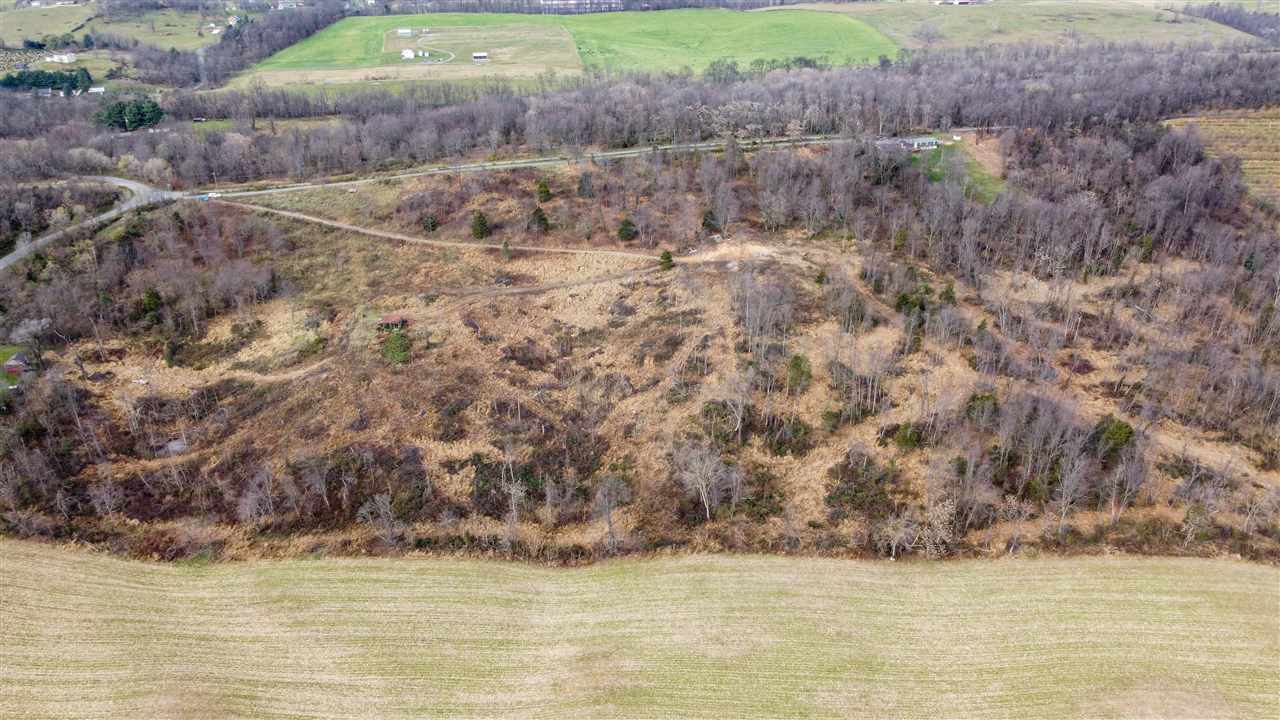Tbd Winestore Road Timberville, VA 22853 - Photo 9 of 11 a view of a yard with an empty space