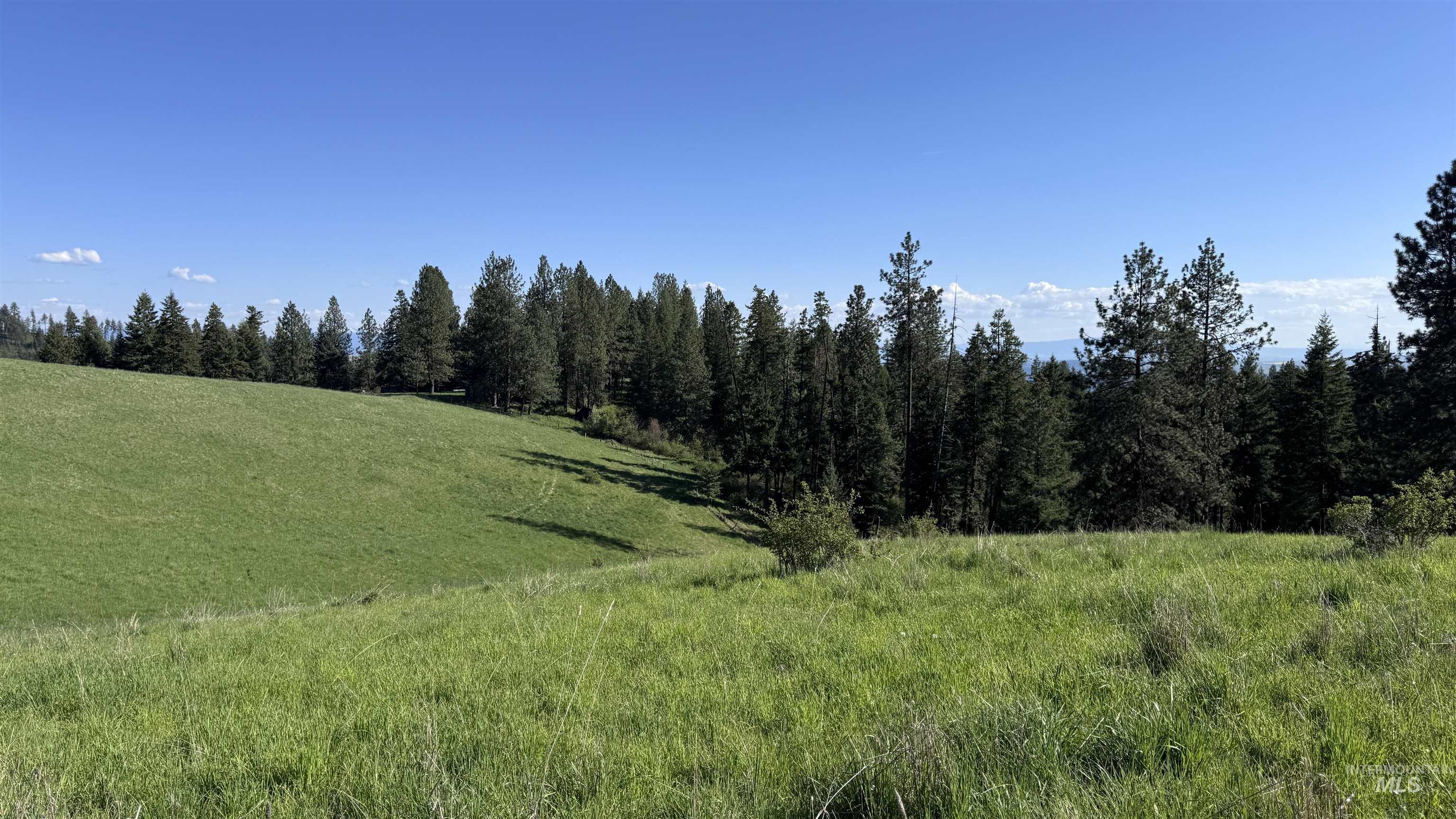 Tbd Harrisburg Road Kamiah, ID 83536 - Photo 22 of 50
