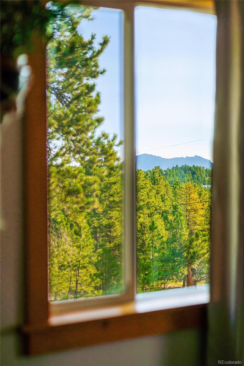 200 The Lane Road Golden, CO 80403 - Photo 32 of 37