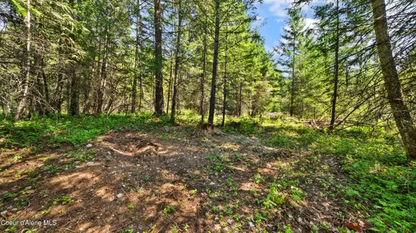 $159,000 | Nna Nna Sunsetter Lane, Cocolalla, ID 83813