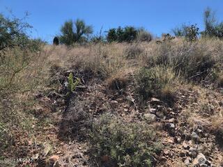 1539 Cocer Court, Unit 35 Rio Rico, AZ 85648 - Photo 5 of 10