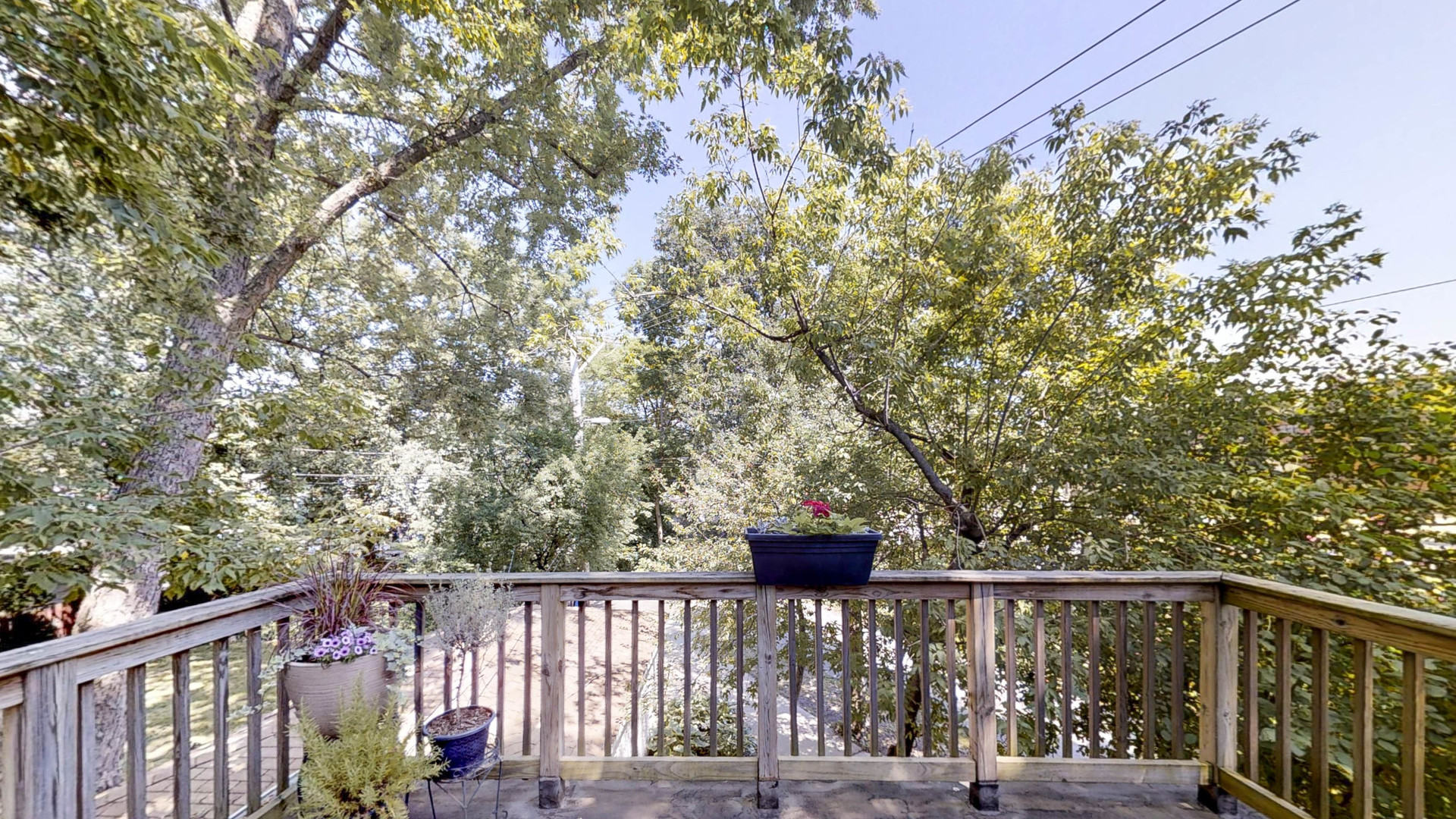 6111 North Springfield Avenue Chicago, IL 60659 - Photo 35 of 36