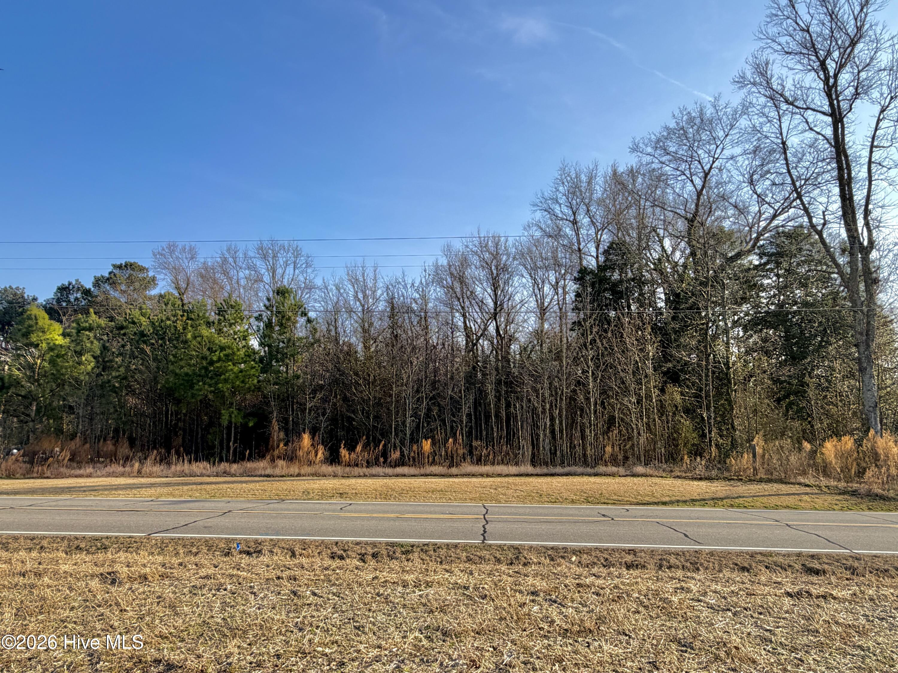 0 Davis Mill Road Fremont, NC 27830 - Photo 1 of 3 IMG_1444