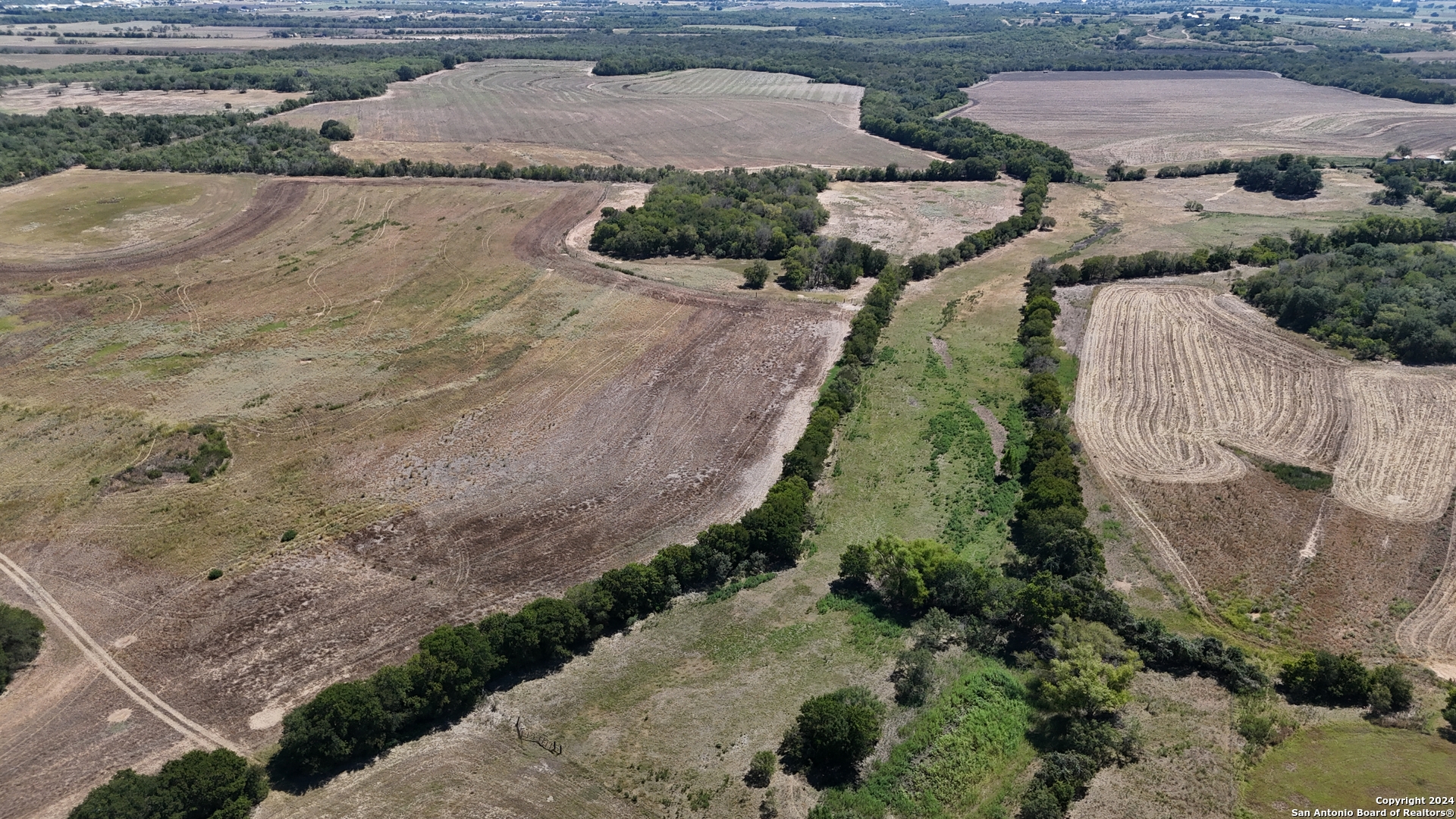 16568 New Berlin Road St. Hedwig, TX 78152 - Photo 7 of 10 a view of a yard with plants