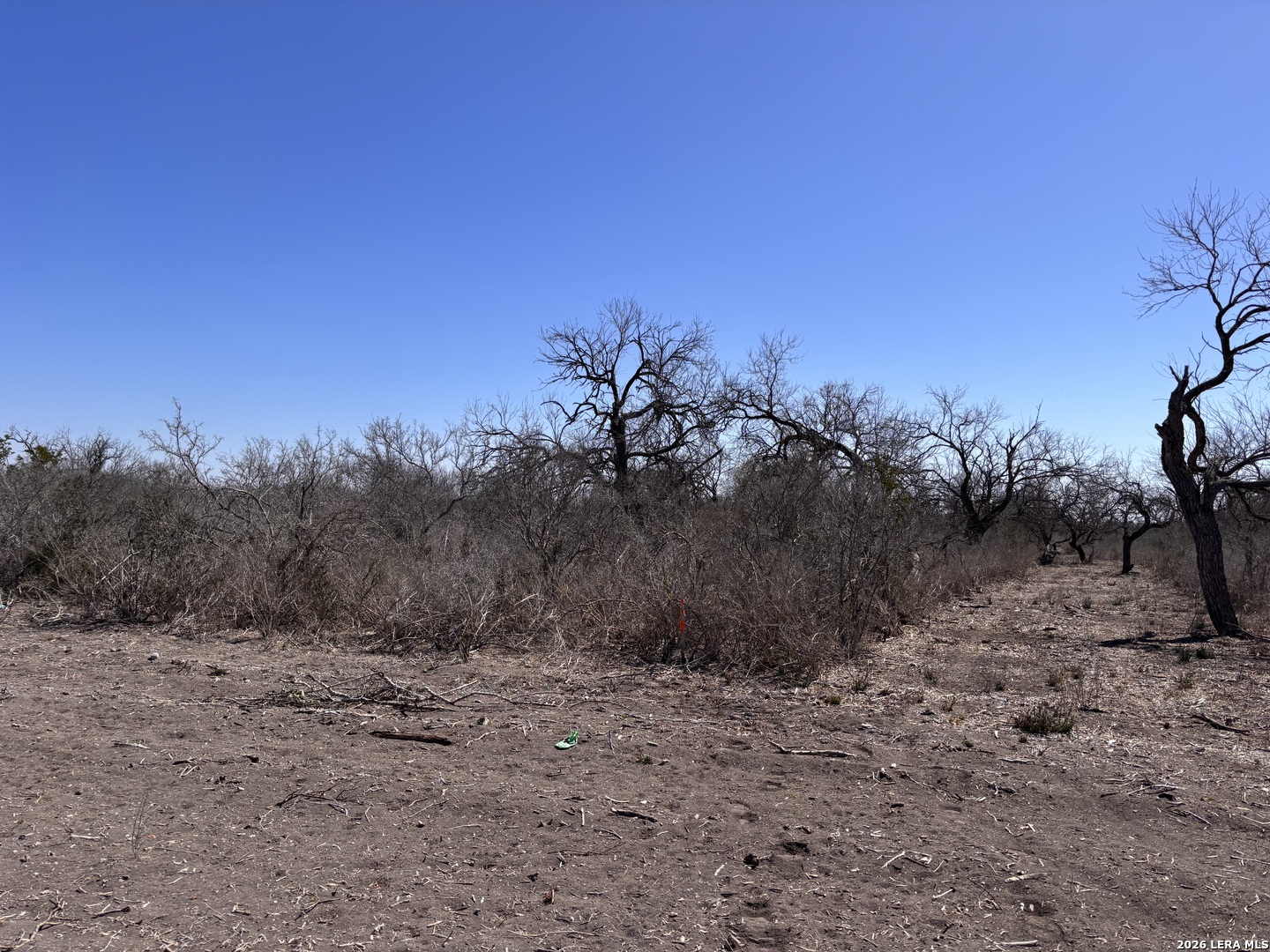 0 Hwy 72 Three Rivers, TX 78071 - Photo 4 of 14