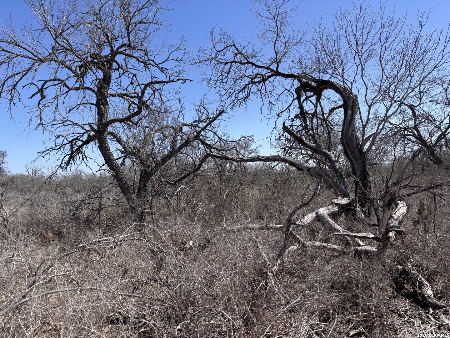 0 Hwy 72 Three Rivers, TX 78071 - Photo 5 of 14