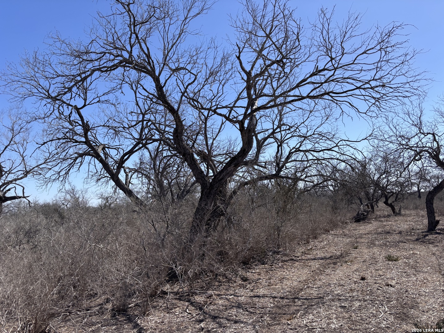 0 Hwy 72 Three Rivers, TX 78071 - Photo 6 of 14