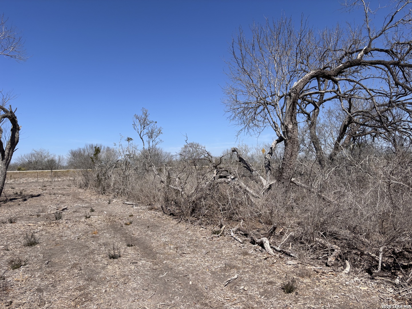 0 Hwy 72 Three Rivers, TX 78071 - Photo 7 of 14