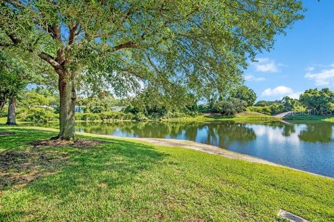 208 Lamonte Pointe Circle DeBary, FL 32713 - Photo 33 of 47 a view of a lake with a yard and large trees