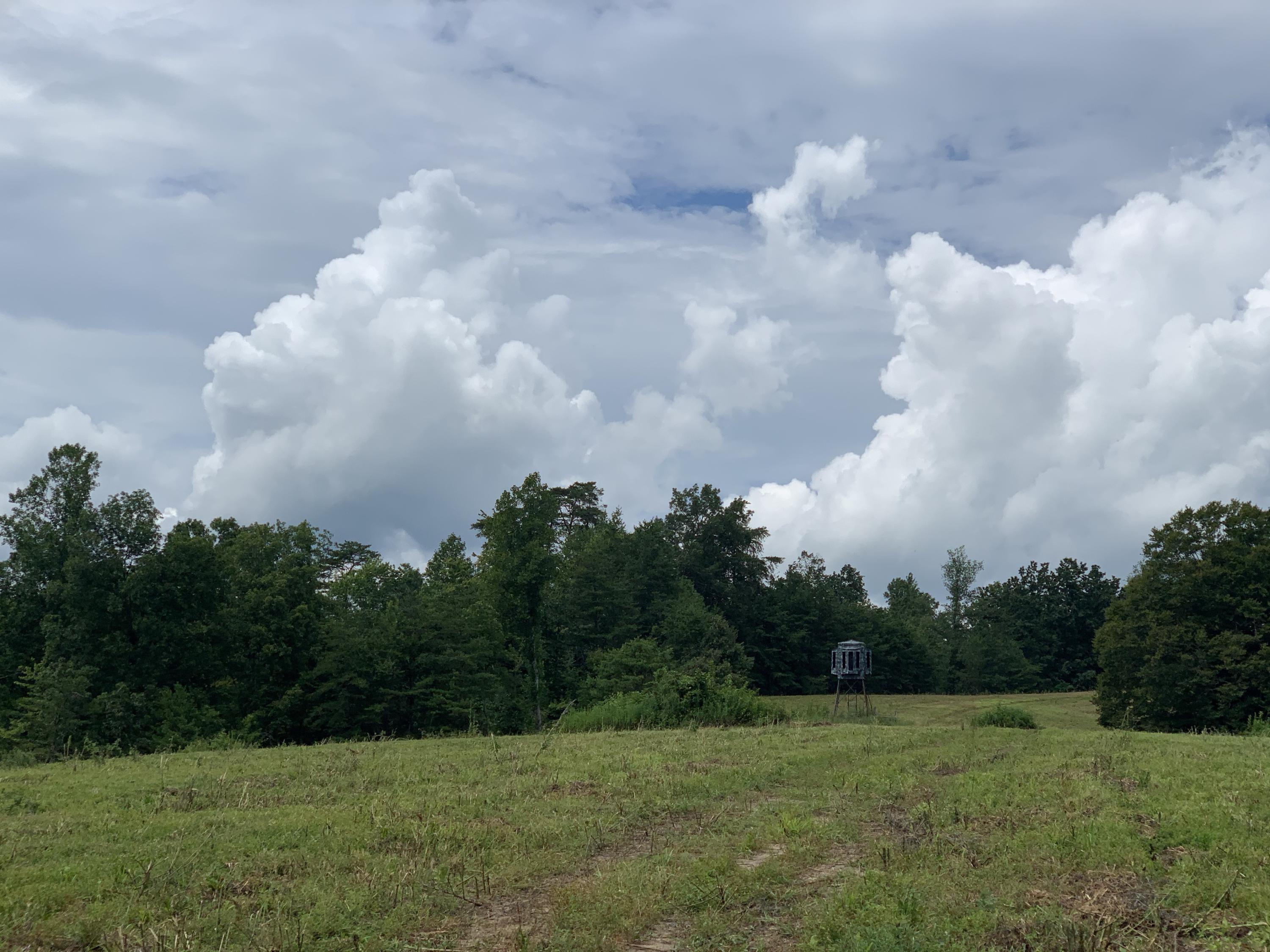 485 Frye Road Nancy, KY 42544 - Photo 15 of 18 tsUtFZnlSh+ec9kXB2CZLQ