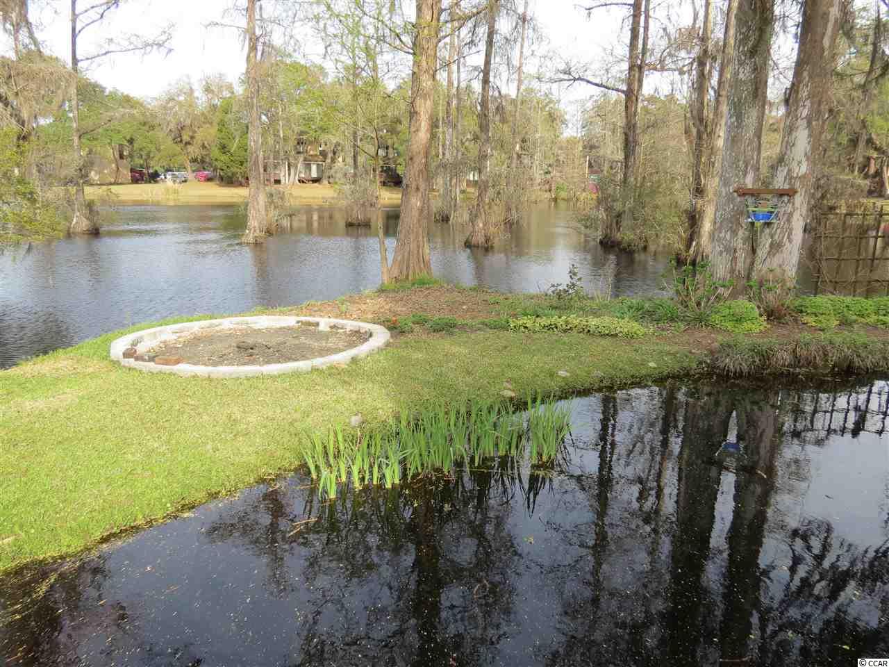 245 County Rd S-22-404 Georgetown, SC 29440 - Photo 22 of 25 Gallery Image 22