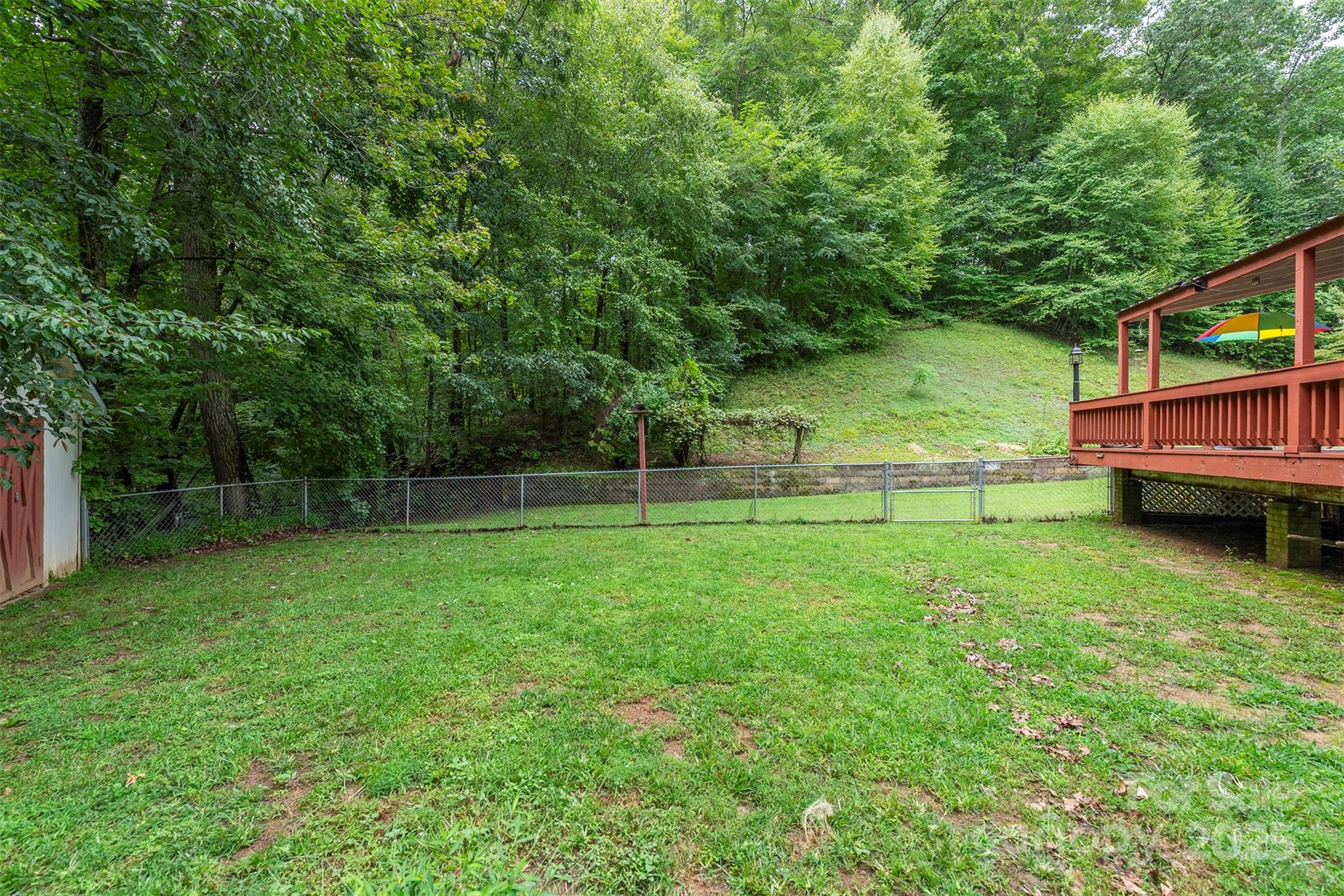 695 Chestnut Mountain Road Canton, NC 28716 - Photo 13 of 48