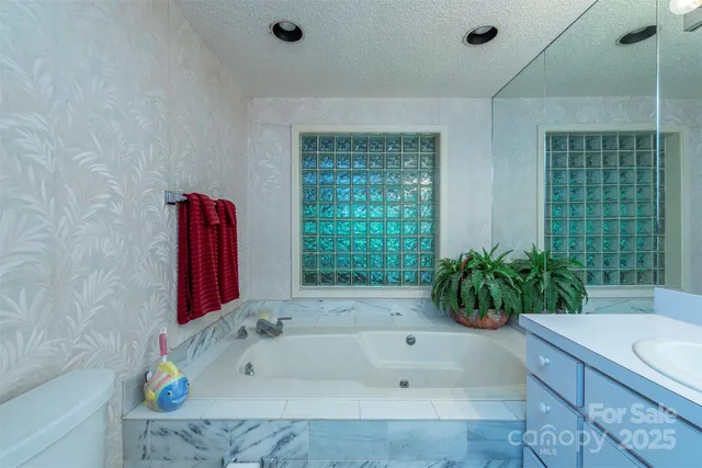 a bathroom with a tub a potted plant and a shower