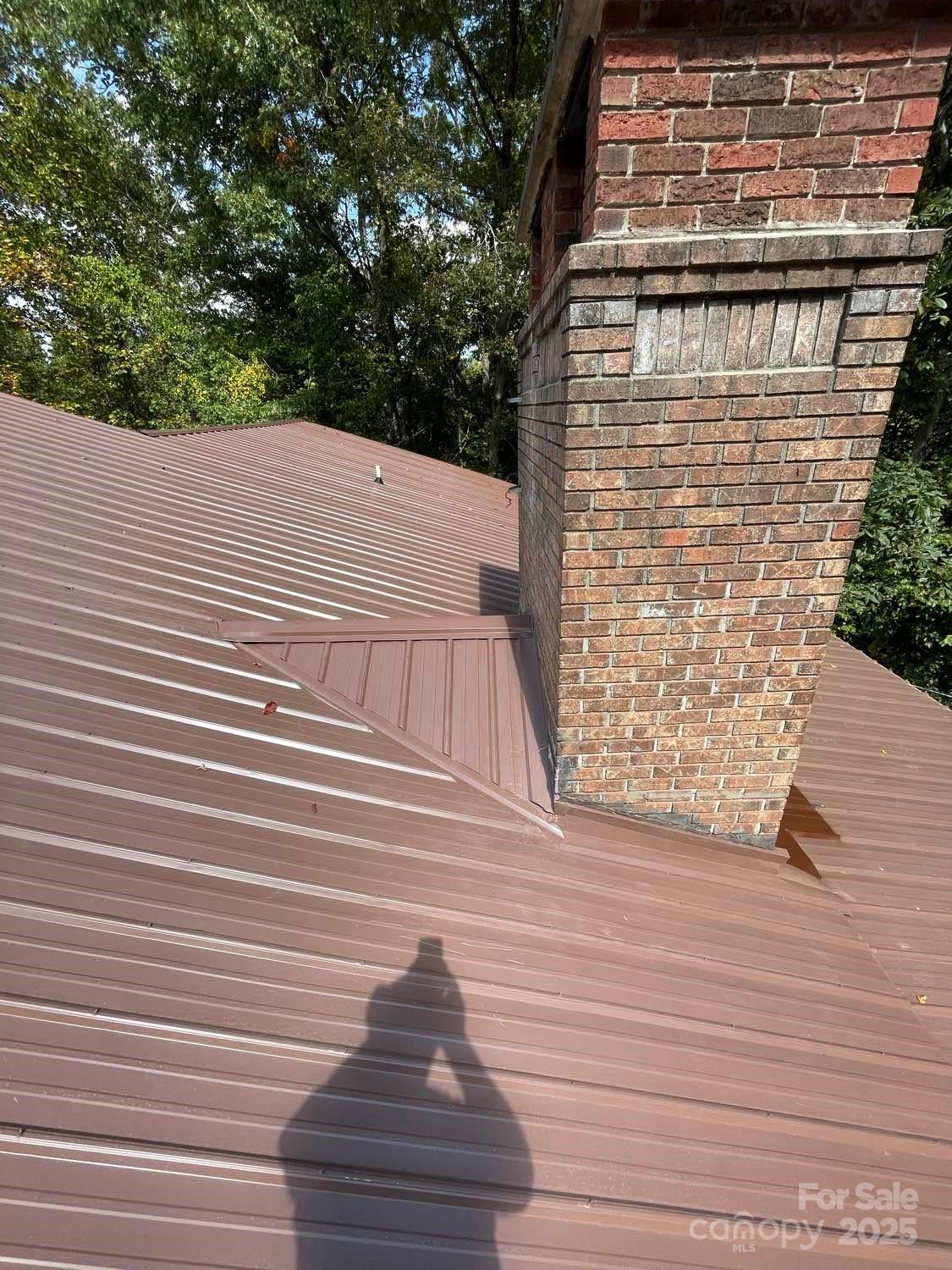 695 Chestnut Mountain Road Canton, NC 28716 - Photo 43 of 48