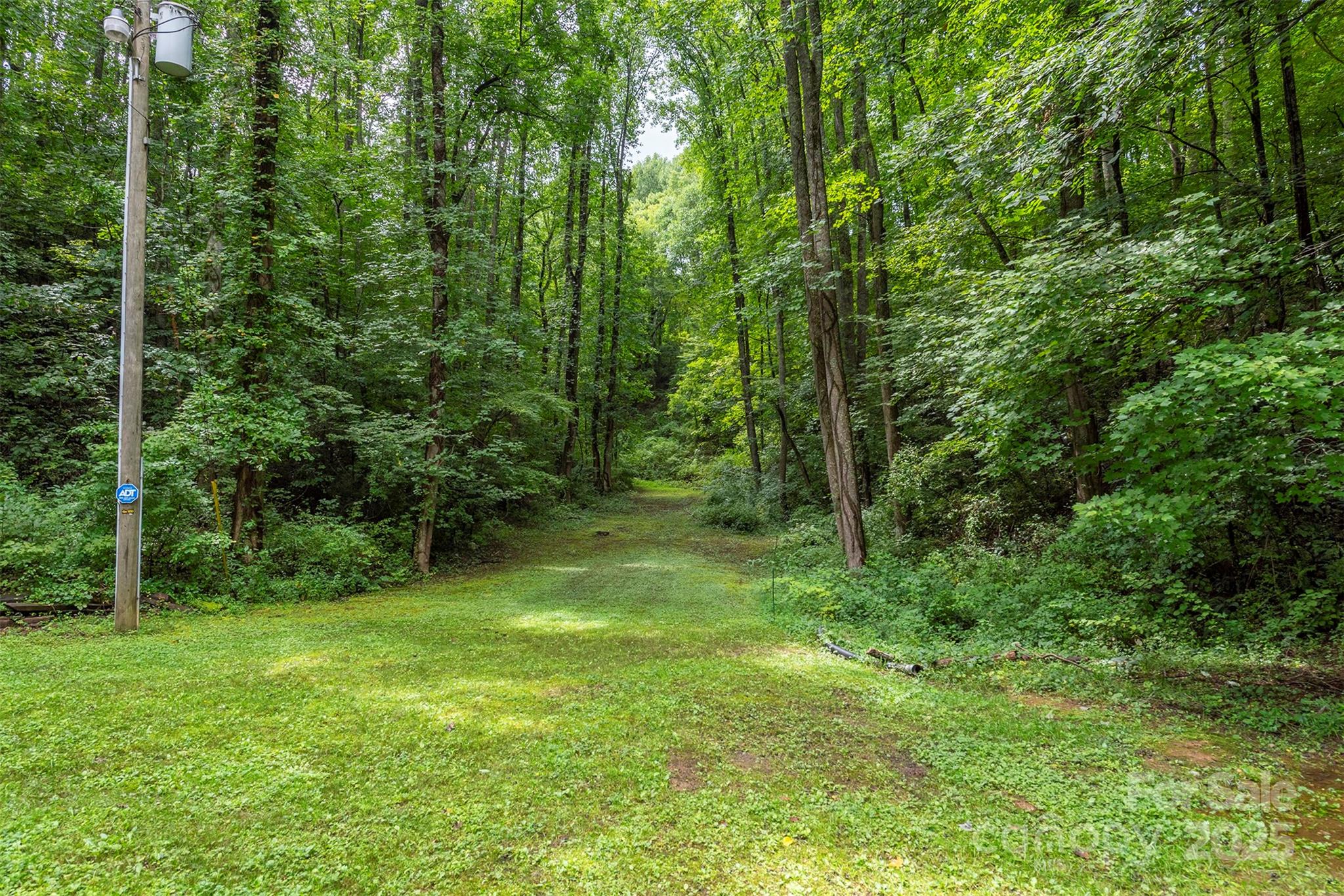 695 Chestnut Mountain Road Canton, NC 28716 - Photo 47 of 48