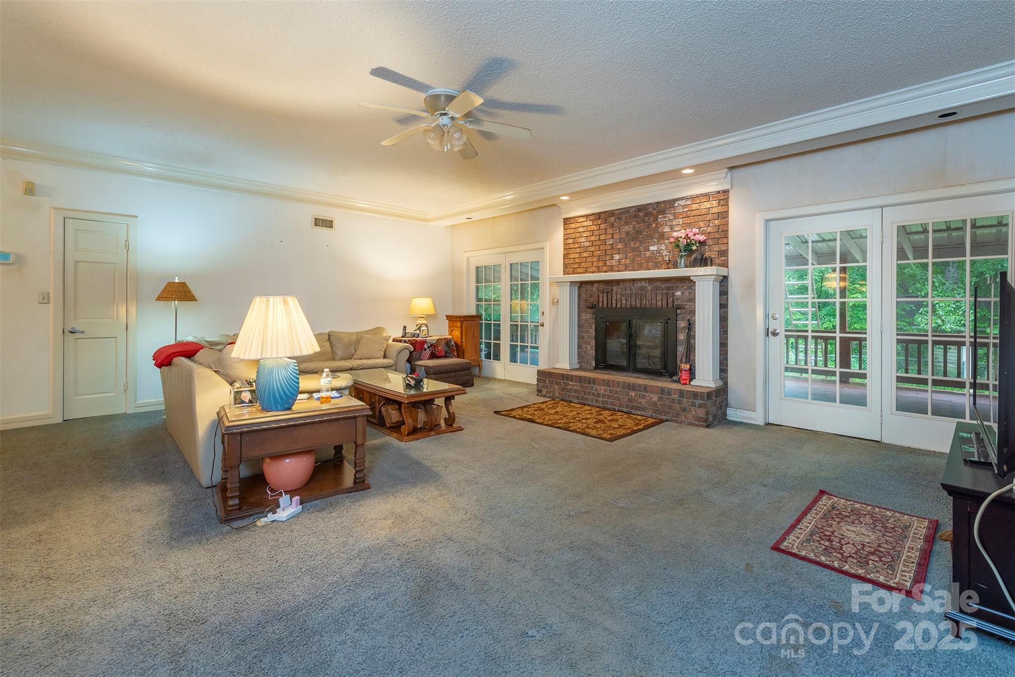 695 Chestnut Mountain Road Canton, NC 28716 - Photo 8 of 48