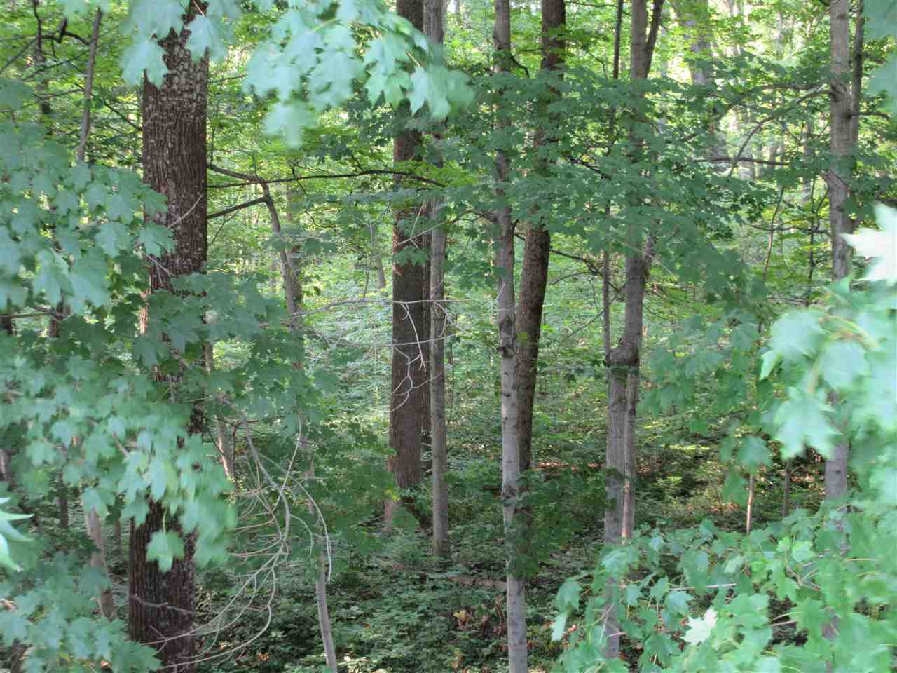 305 Heltonville Road East Bedford, IN 47421 - Photo 16 of 17
