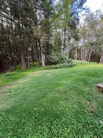 a view of a park with large trees